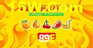 Programa VIP 89E